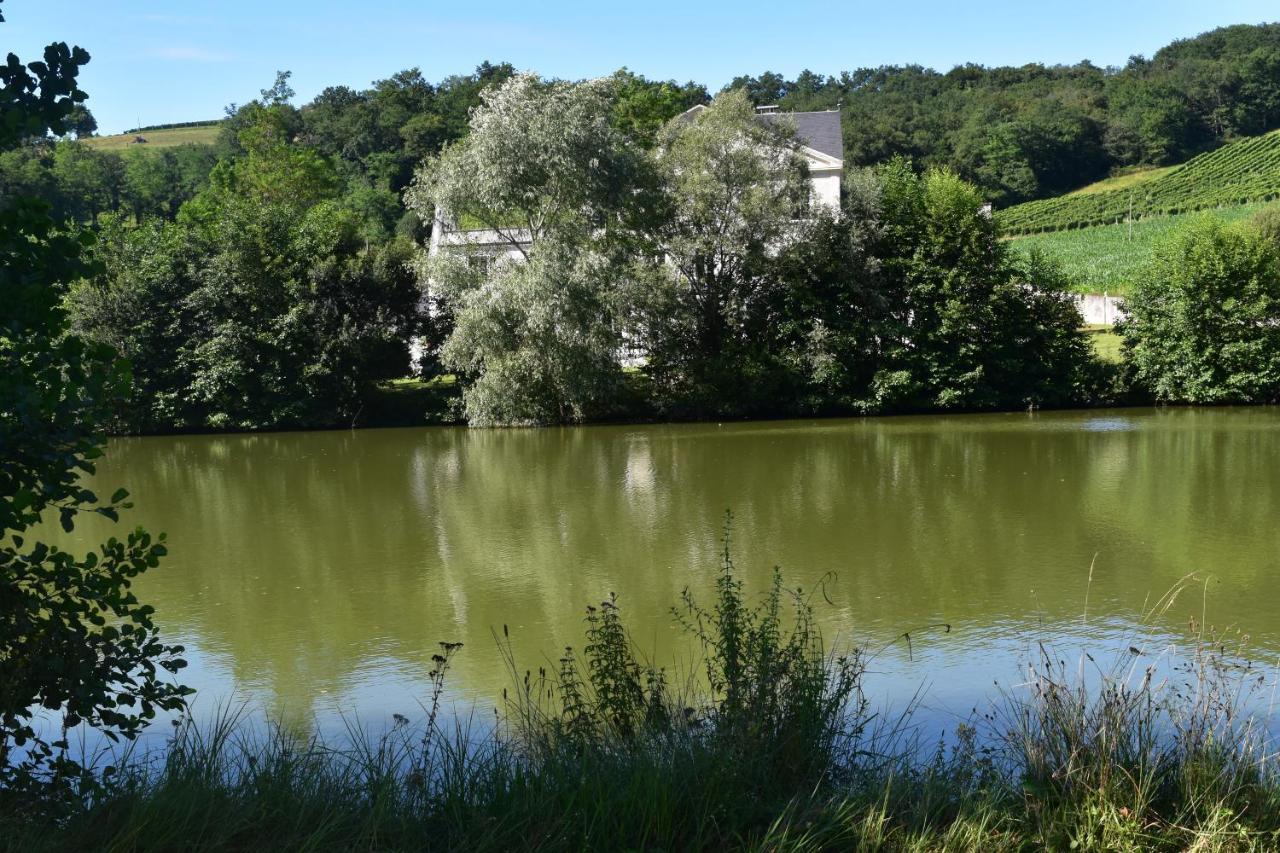 Chateau Roquehort Avec Ev Recharge Point 22Kw Monein Zewnętrze zdjęcie
